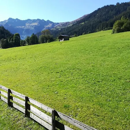 Hacklstoana * Альпбах