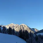 Hacklstoana