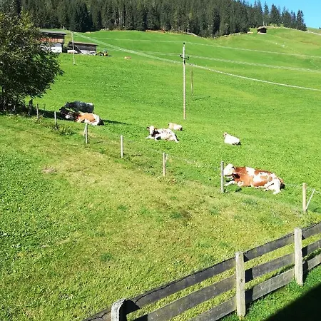 Lägenhet Hacklstoana *