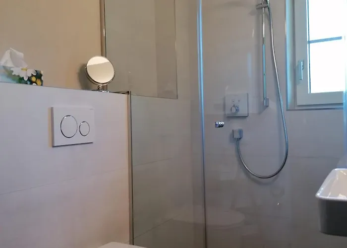 Apartament Hacklstoana *