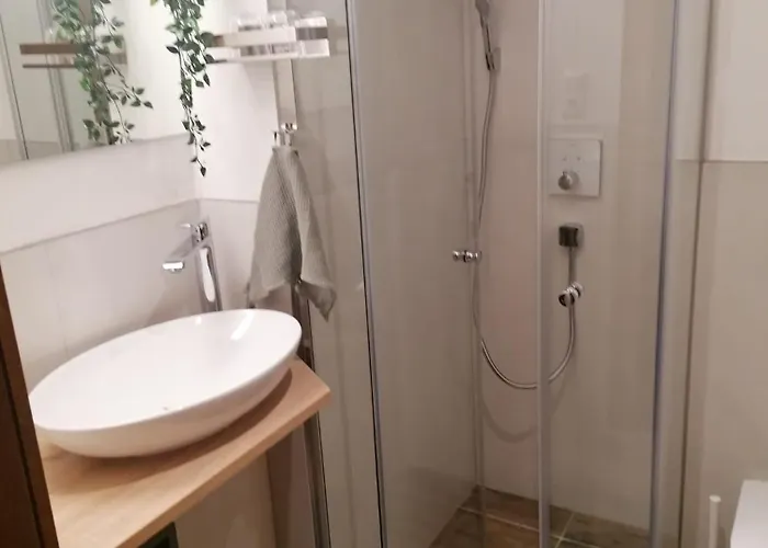 Hacklstoana Apartament