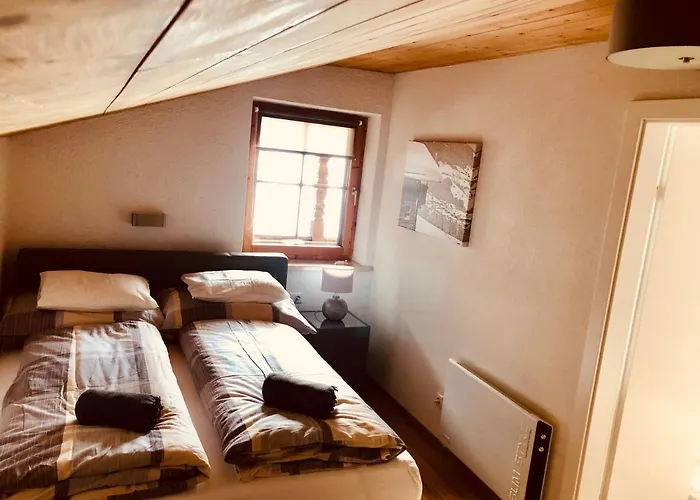 Apartament Hacklstoana *