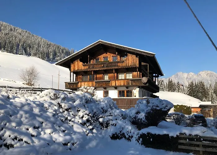 Apartament Hacklstoana *