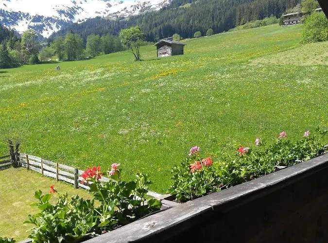 Hacklstoana Apartament *