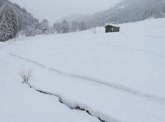 Apartament Hacklstoana *